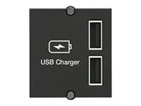 BACHMANN Custom Modul USB Doppel-Charger