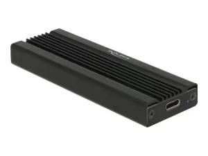 DELOCK Externes Gehäuse für M.2 NVMe