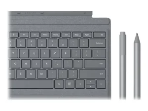 MS Srfc Pen 25Pk (XZ/NL/FR/DE) Platin