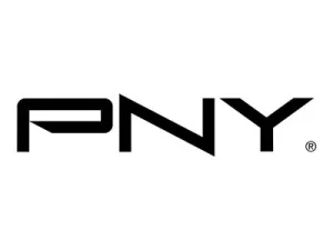 PNY Micro SD Card Elite 32 GB XC