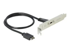 DELOCK Slotblech mit 1 x USB Type-C Port