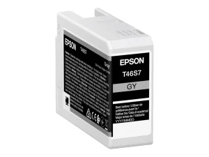EPSON 5LB Singlepack Gray T46S7