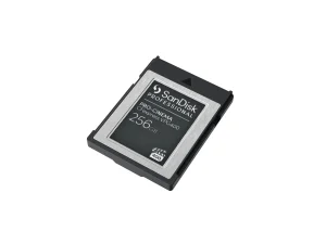 SANDISK Prof. PRO-CINEMA 256GB CFexpres