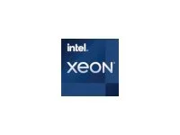 INTEL Xeon W-3335 4GHz FC-LGA16A Tray