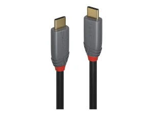 LINDY 2m USB 3.2 Typ C Kabel 5A PD An