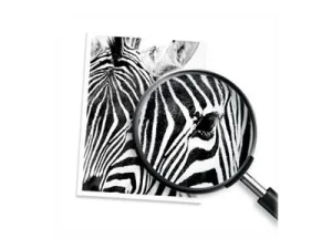 HP 308 Black/Tri-Color Ink Cart Combo 2P