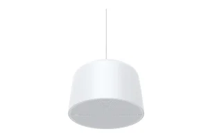 AXIS AXIS C1510 NETWORK PENDANT SPEAKER