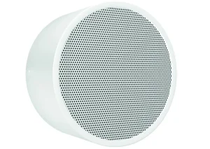 DAR-1000-10 Wand-und Deckenlautsprecher Metall mit hohem SPL