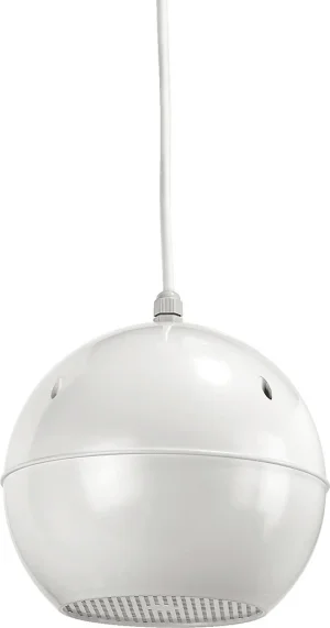 EDL-412/WS ELA-Lautsprecher