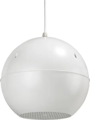 EDL-420/WS ELA-Lautsprecher