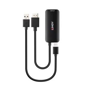 HDMI auf USB Typ C Konverter mit USB-Stromversorgung