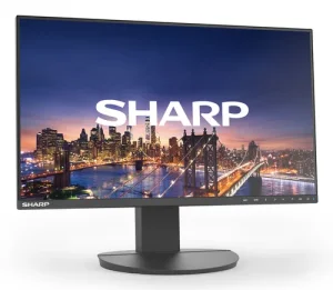 DD-EA241F BLACK 24IN IPS 1920 X 1080 1000:1 250CD